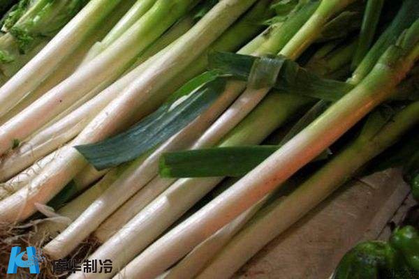 大蔥冷庫工程該如何存儲(chǔ)物品